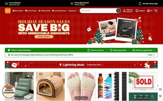 Screenshot of the Temu home page.